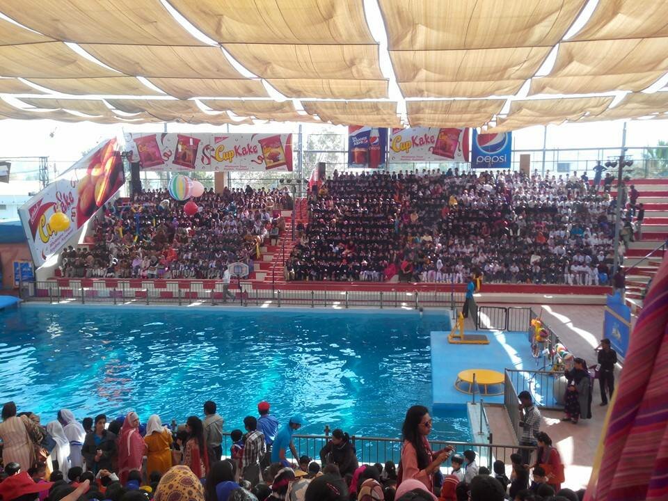 da-montessori-students-visits-karachi-dolphin-show-12